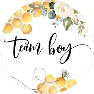 Bee  he or she chart design preview