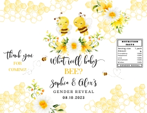 Bee chip bag: Bee chip bag