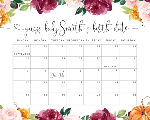 Pumpkin guess due date sign design preview