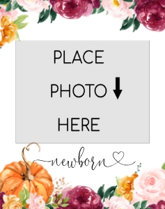 Pumpkin photo banner design preview