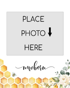Bee photo banner design preview