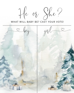 Boy or Girl chart 8x10: Winter Boy or girl chart