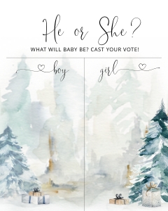 Boy or Girl Chart 16x20: Winter Boy or girl chart
