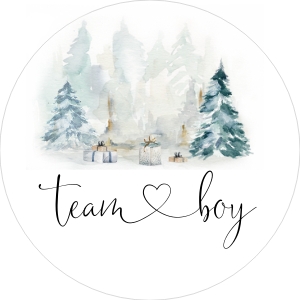 Team boy 2x2: Winter Boy or girl chart