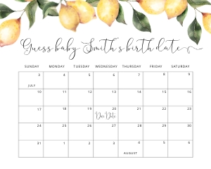 Lemon due date calendar design preview