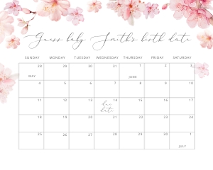 Sakura due date calendar 20x16: Sakura day date calendar