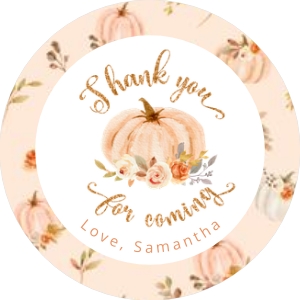 Pumpkin round sticker design preview