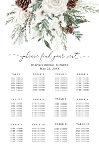 Winter seating chart design preview