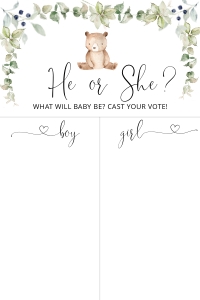 Bear gender reveal design preview