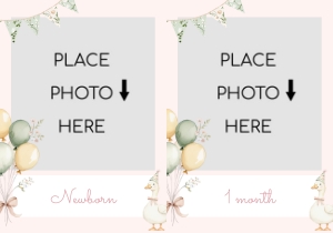 One silly goose Pink Girl 1st BIrthday Photo milestone banner design preview