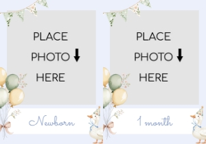 Blue Boy One Silly Goose birthday photo banner template design preview