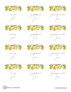 LemonMimosaTags: Lemon Bridal Shower Sign Kit, Lemon Themed Welcome Signs, Lemon Mimosa Signs, Custom Lemon Themed Signs, Printable Signs, Corjl Template