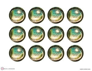 EnchantedRound2inch: Editable Enchanted Evening Invitations Bundle, Enchanted Themed Invitation Kit, Enchanted Birthday Invitation Set, Enchanted Forest, Corjl
