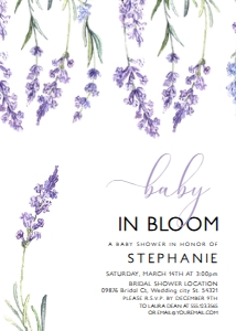 Wildflower Baby in Bloom Invitation, Baby Shower Bundle, Baby Shower Invitation, Books for Baby Card, Diaper Raffle, Boho Baby Shower design preview