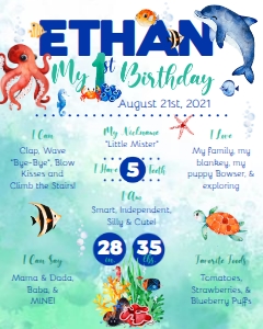 KID12 - Under the Sea milestone Board - 1st - 16x20: KID12 - Under The Sea Milestone Board