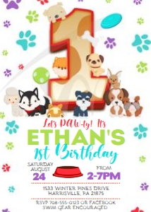 KID43 - Dog Birthday Party - 1st: KID43 - Dog Birthday Party