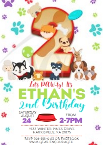 KID43 - Dog Birthday Party - 2nd: KID43 - Dog Birthday Party