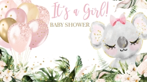 01.d.zoom. background, baby shower: 01.l.zoom, background baby shower koala