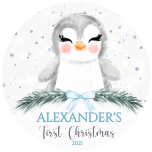 022.l.#1penguin#BOY#ornament# design preview