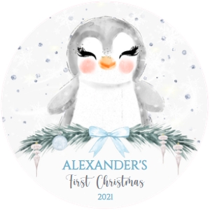 022.l.#4penguin#BOY#ornament# design preview