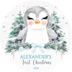 022.l.#3penguin#BOY#ornament# design preview