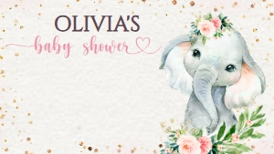 01.d.zoom#CCSP#elephant,girl design preview