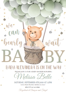 BEAR#BB GREE#: 09.d.drive by shower,teddy bear, boy, blue