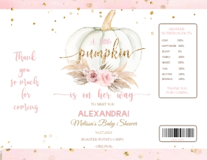 PUMPKIN 5 (EE) CHIP BAG design preview