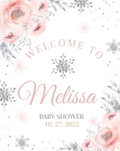 Winter SN 5 silver WELCOME#NBALLOONS#8X10 design preview