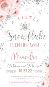 EVITE Winter SN SET 5 silver babyshower design preview