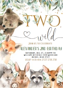 WILD TWO BOY FFF WOD AN 1 BOY birthDAY: WILD TWO BOY FFF WOD AN 1 BOY birthDAY