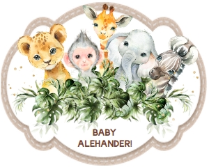SAFARI DIAPER CAKE 1#5X4#: SAFARI DIAPER CAKE 2#5X7