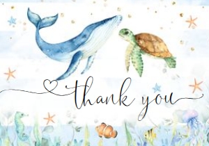 SEA SET BOY 2 thank you: SEA SET BOY 2 BABY SHOWER BOY
