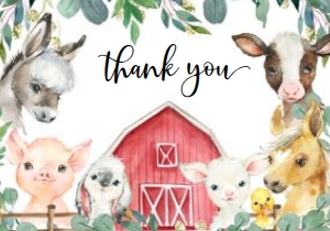 FF9 Farm BOY SET thank you: FF9 FARM Boy SET A little WILD *