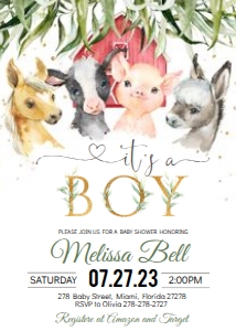FF9 FARM BOY 2 SET it's a boy: FF9 FARM Boy SET it's a boy