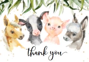 FF9 Farm BOY 2 SET thank you: FF9 FARM Boy SET it's a boy