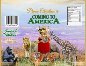Chip Bag COA-01 design preview