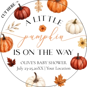 073PU - pumpkin favor tag/sticker - 2.5x2.5: 073PU - pumpkin baby shower bundle