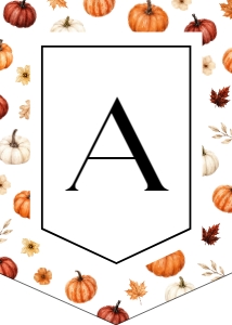 073PU - pumpkin chair banner - 5x7: 073PU - pumpkin baby shower bundle