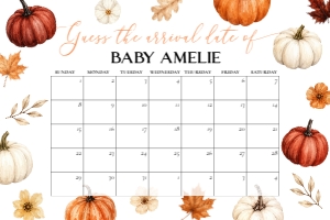 073PU - pumpkin due date sign - 36x24: 073PU - pumpkin baby shower bundle