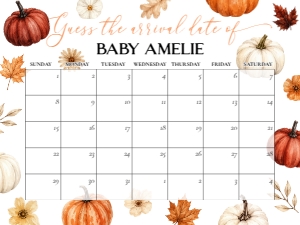 073PU - pumpkin due date sign - 24x18: 073PU - pumpkin baby shower bundle
