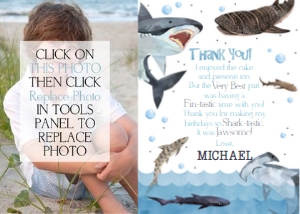 SHK01 Thank You: SHK01 Thank You