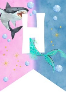 SH3 SHMR6 Birthday Banner design preview