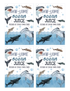 SHK Juice Pouch Labels - Non-Editable: SHK Birthday Bundle