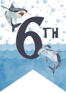 SH1 Banner - Boys Age: SH1 SHMR2 'Happy Birthday' BANNER
