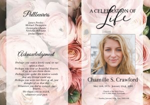 8 Page Vintage Pink Roses Program design preview