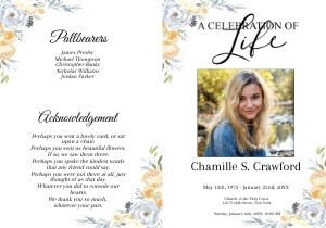 8 Page Soft Yellow and Blue Program design preview