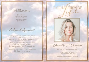 Heavenly Clouds Program design preview