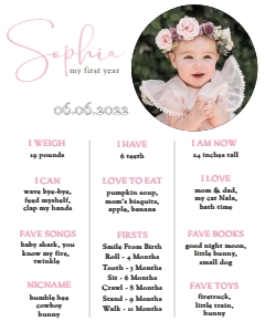 First birthday milestone sign 13 16*20 design preview