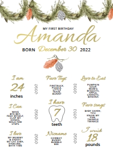 Winter Onederland Milestones Sign(18x24): Winter Onederland Milestones Sign(16x20)